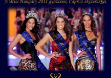 Winners of Miss Hungary 2011
